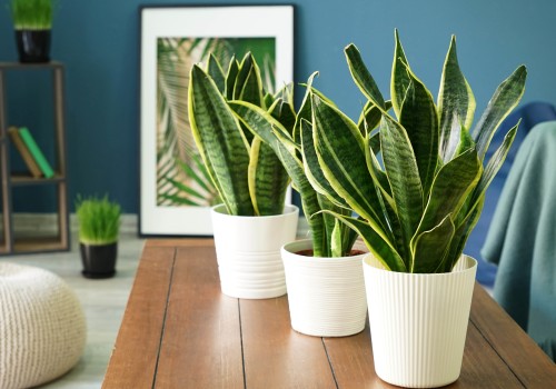 How to Control Humidity Levels in Your Home